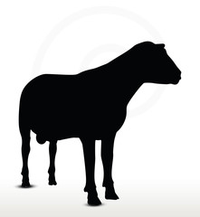 sheep silhouette with looking pose