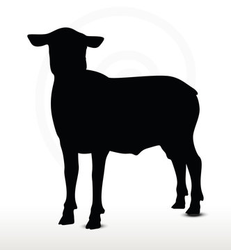 sheep silhouette with looking pose