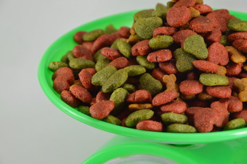 dog food on weighting scale