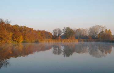 River landscape and  autumn wood
