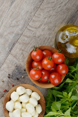 Mozzarella, tomatoes and oil