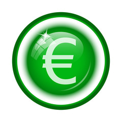 Euro icon