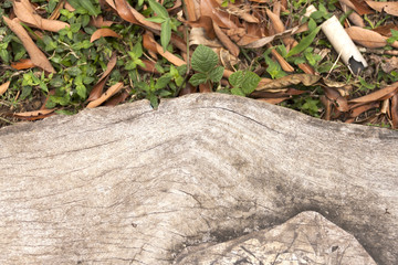 Wood texture background