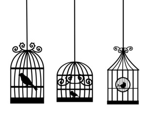 birdcage