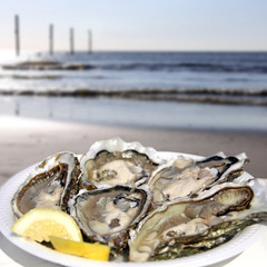austern am strand