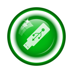 Usb flash drive icon