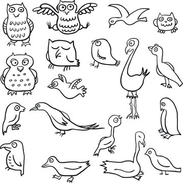 cartoon line drawing birds