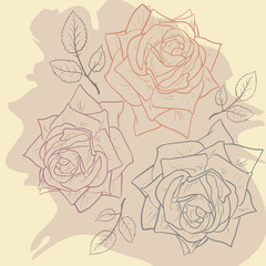 Floral card with roses