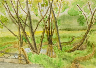 Summer park, painting