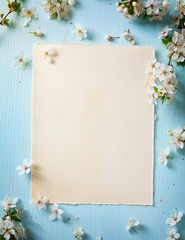 art Spring border background with blossom