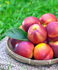 nectarines