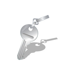 Detail vector key illustration