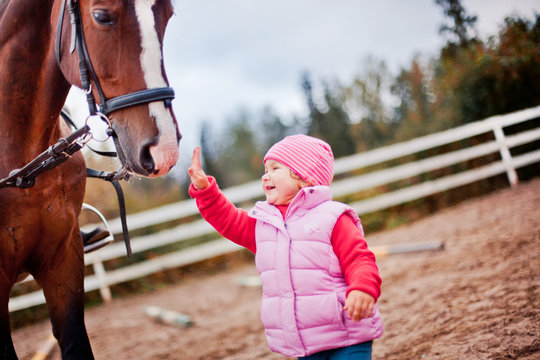 Child with horse in paddok