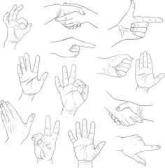 sketch drawing hands