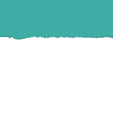 Obraz premium Ripped paper sheet isolated on cyan background