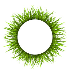 Circle frame with green grass. Floral nature background