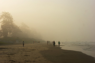 fog in Goa