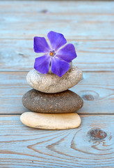 Fototapeta na wymiar zen stones with purple flower on wooden background
