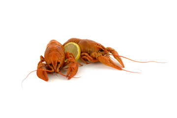 Вареные раки с лимоном