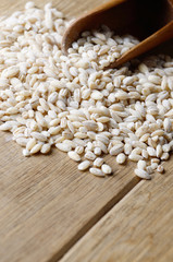 Barley grains