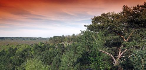 Obraz premium Sentier des 25 bosses dans le massif des Trois Pignons. Massif de Fontainebleau 