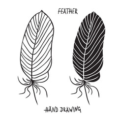 Hand drawn silhouettes of feathers in black and white