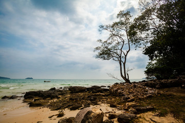 Fototapeta na wymiar Tropical landscape of Koh Rong