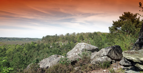 Sentier des 25 bosses dans le massif des Trois Pignons. Massif de Fontainebleau	