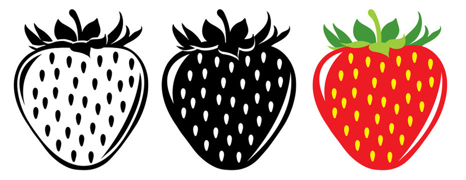 Vector strawberries in color and black and white