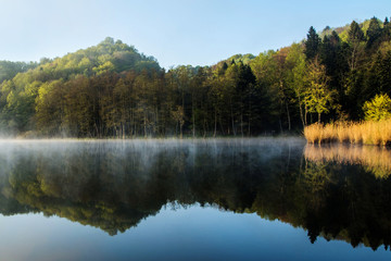 Reflection of trees on Tracoscan lake in Zagorje, Croatia