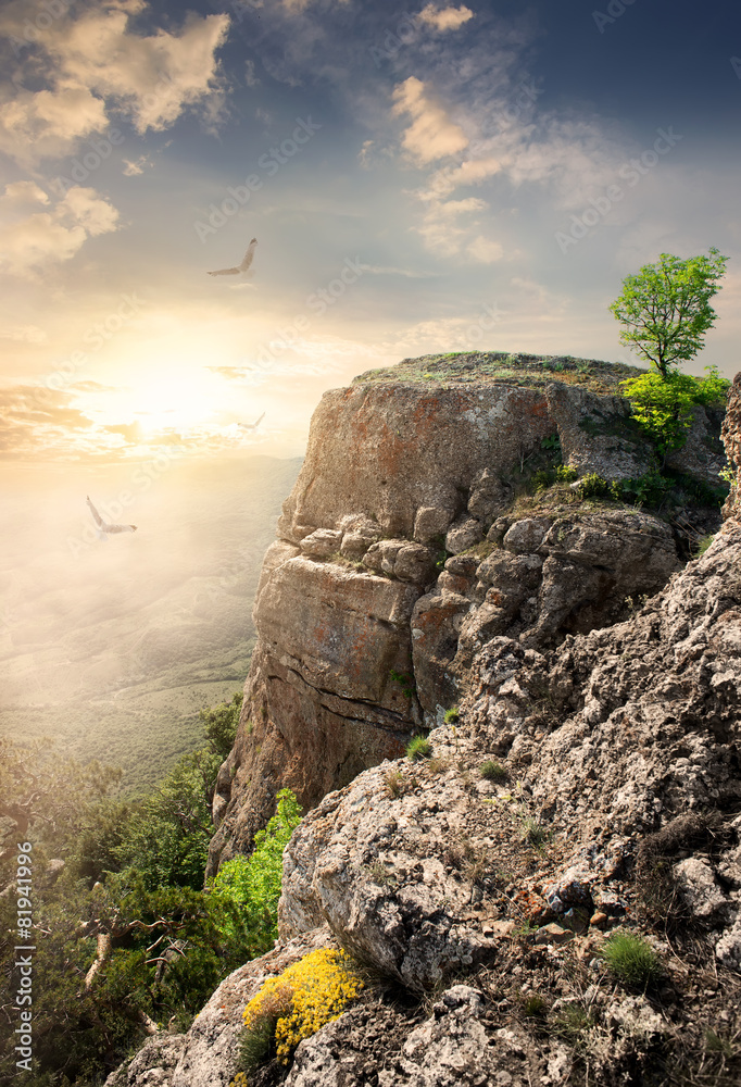 Wall mural Mountain plateau