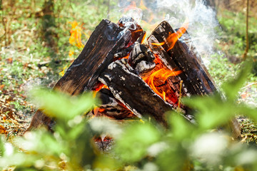 campfire on nature