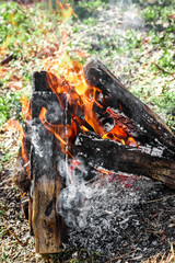 campfire on nature