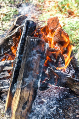 campfire on nature