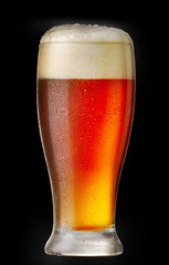 glass of beer