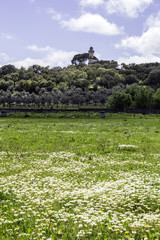 Alentejo region typical fields landscape, Portugal.