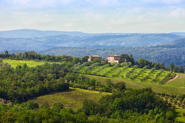 Fototapeta na wymiar Italian landscape with vineyards and house on hill