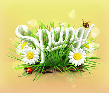 Spring comes up, vector background