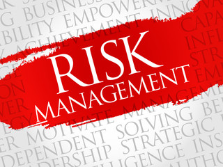 Risk Management word cloud, business concept