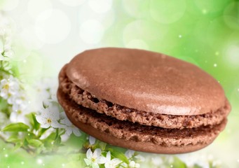 Macaroon. Colorful macaroons collection set of isolation on a