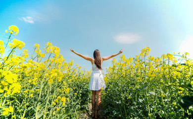 Fototapeta premium Young woman in the spring field