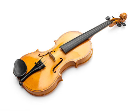 violin on white background