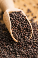 Brown mustard seeds