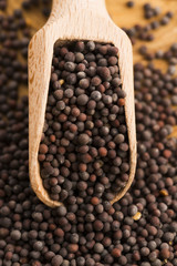 Brown mustard seeds