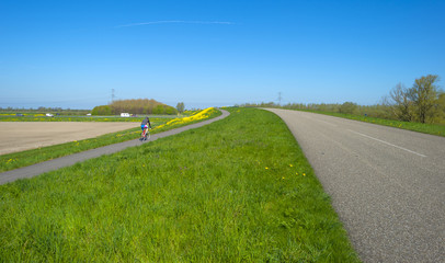 Cyclist biking uphill under a clear sky in spring