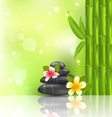 Meditative oriental background with frangipani, bamboo and heap