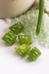 aloe vera and sea salt