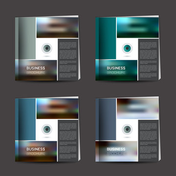 Various color brochure, report layout template.