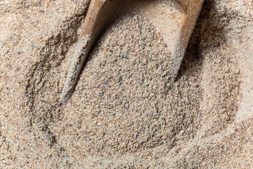 ramon flour closeup in Guatemala