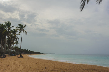 Tropical Paradise. Dominican Republic, Seychelles, Caribbean